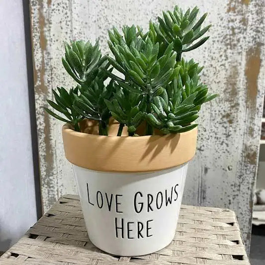 Indoor Love Grows Here Ceramic Planter, 5"