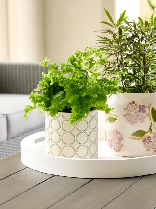 Indoor Pots & Planters