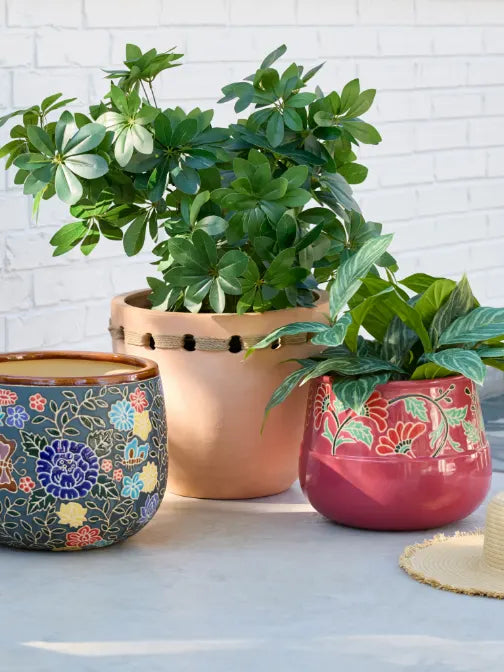 Outdoor Pots & Planters