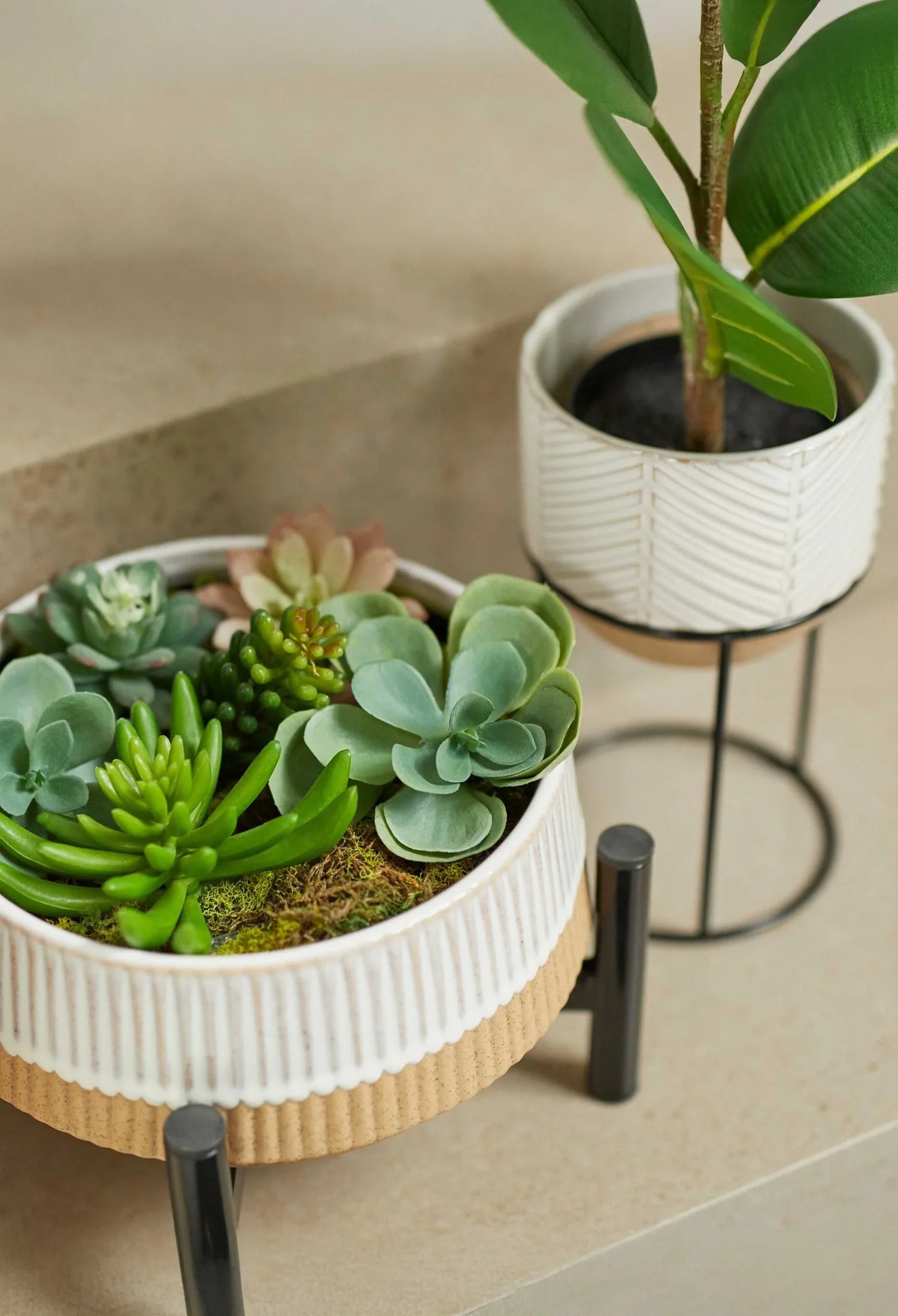 Plant Stands