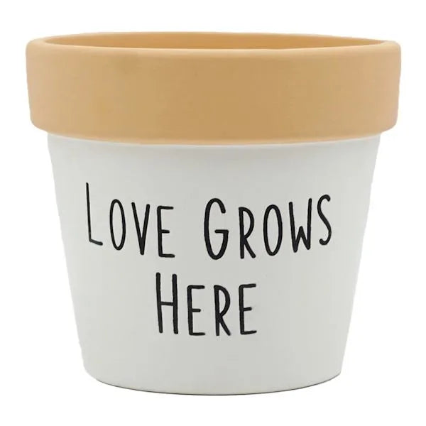Indoor Love Grows Here Ceramic Planter, 5"