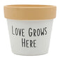 Indoor Love Grows Here Ceramic Planter, 5"