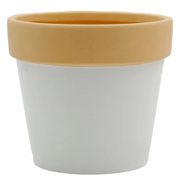 Indoor Love Grows Here Ceramic Planter, 5"