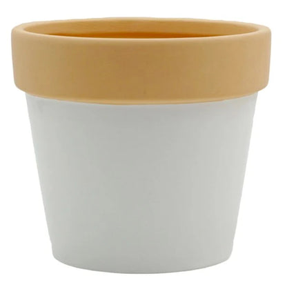 Indoor Love Grows Here Ceramic Planter, 5"