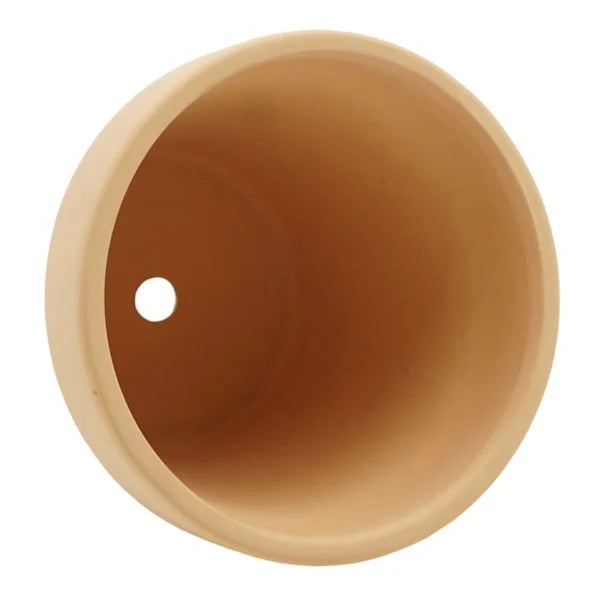 Indoor Love Grows Here Ceramic Planter, 5"