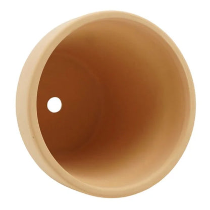Indoor Love Grows Here Ceramic Planter, 5"