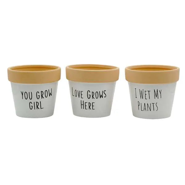 Indoor Love Grows Here Ceramic Planter, 5"