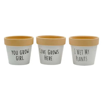 Indoor Love Grows Here Ceramic Planter, 5"
